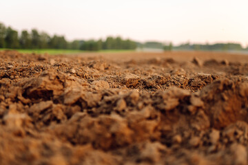 Clean soil for cultivation. The potting soil or peat is suitable for gardening.  Fertile land...