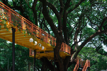 Yellow bridge on tree for tourist attraction