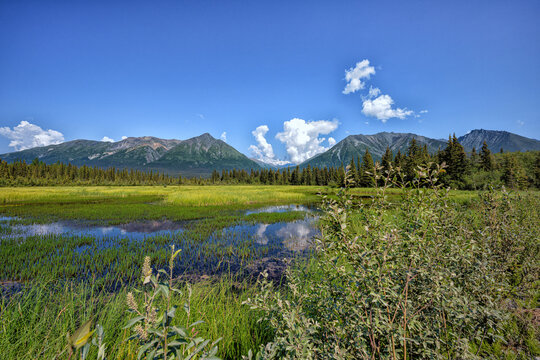 Near Chokosna Lake by the McCarthy roadside