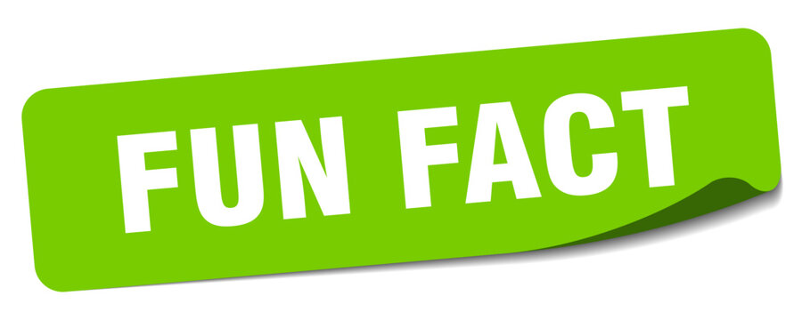 fun fact sticker. fun fact label