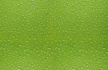 fundo verde com gotas de água - obrazy, fototapety, plakaty