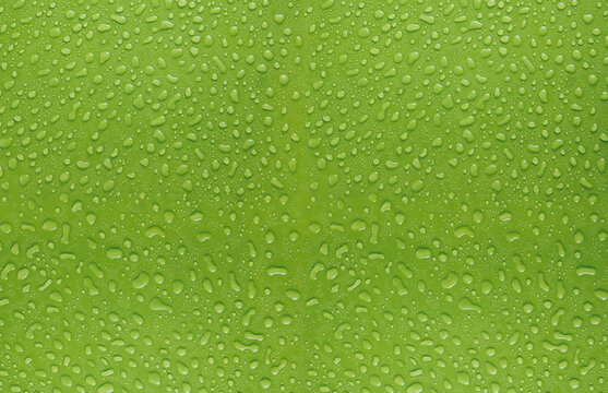 fundo verde com gotas de &aacute;gua