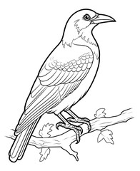 Obraz premium Crow Coloring Page, Beautiful Design for your Project, Relaxing Colouring page for Adults and Kids