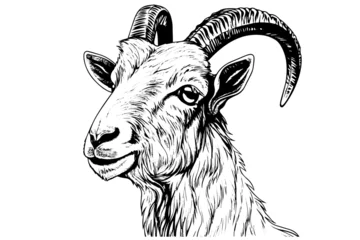 Poster Goat head hand drawn ink sketch. Engraved style vector logotype. © Artem