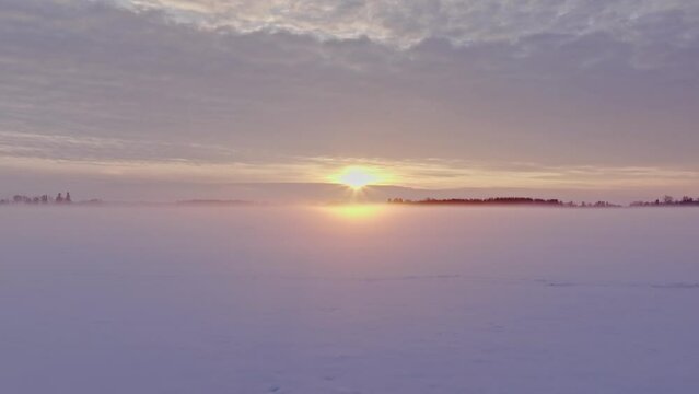 Foggy sunset in the filed in winter snow