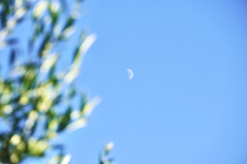 Fototapeta premium Close-up of moon in blue sky.