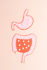 Stomach and intestine with white pills. Creative idea of probiotics or medicine pills absorbed in...