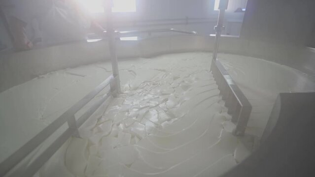 Cheese making; first stage, curdle the milk
