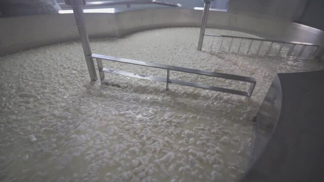 Cheese making; first stage, curdle the milk