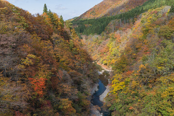 日本　秋田県湯沢市の小安峡の紅葉