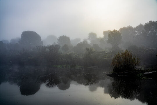 Morning mist on an Andalusian river and the Mediterranean forest