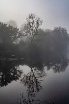 Morning mist on an Andalusian river and the Mediterranean forest