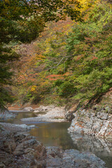 日本　秋田県湯沢市の小安峡の紅葉