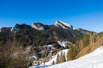 Sommet du Grand Som en hiver depuis les hauteurs de Saint-Pierre-de-Chartreuse, dans le parc...