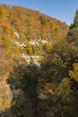 Fototapeta premium 日本 秋田県湯沢市の三途川橋から見える三途川渓谷と紅葉した木々