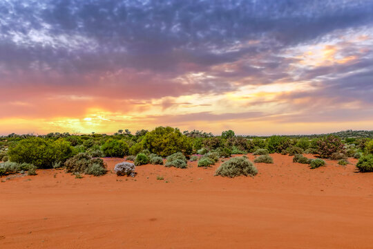 Red Desert near Kalgoorlie at sunset, Western Australia, Australia