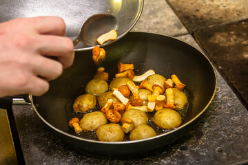 cooking potatoes with chanterelle mushrooms in a frying pan