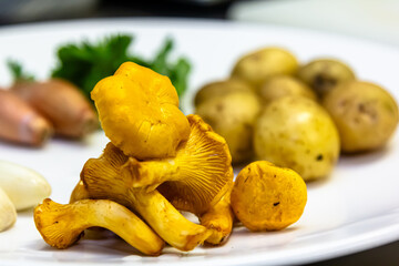 Chanterelle mushrooms and potatoes on a white plate