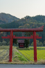 日本　秋田県湯沢市の田んぼに囲まれた小さい神社と鳥居