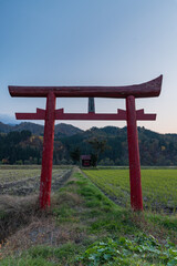 日本　秋田県湯沢市の田んぼに囲まれてた小さい神社と鳥居