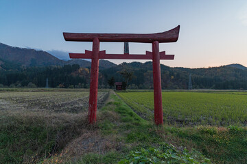 日本　秋田県湯沢市の田んぼに囲まれてた小さい神社と鳥居