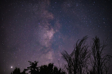 The milky way galaxy observed from a wild and dark place. Night details with the sky full of stars...