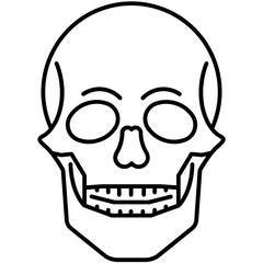 Skull, Anatomy, Skeleton, Bone, Human skull, Cranium, Forensic science, Medicine, Biology, Death, Anatomy study, Facial bones, Skull structure, Skull model, Skull diagram, Skull parts, Skull features,