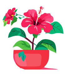 pink flower in a pot