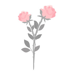 couple rose flower isolated on white background