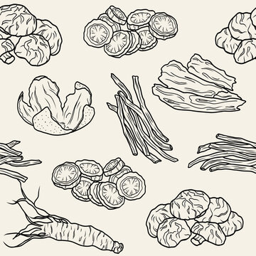 Line art Chinese medicine herbs background. Shiitake, ginseng, peony root, angelica, salvia, tangerine peel