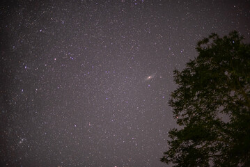 The Andromeda Galaxy in the night sky. Dark place with shining stars in summer