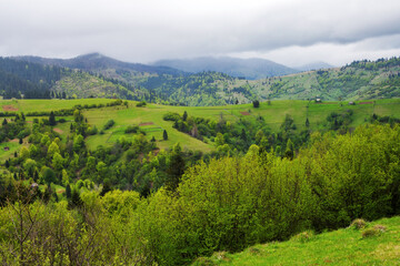 Fototapeta na wymiar carpathian countryside with grassy meadows and forested rolling hills in spring. alpine highlands of ukrainian rural landscape beneath an overcast sky