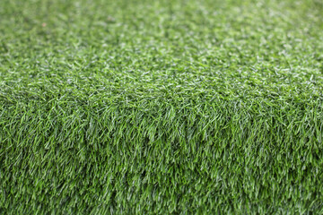 Synthetic grass, Fake grass, Artificial grass