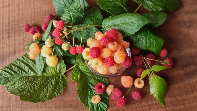 Yellow and red fresh ripe eco bio raspberries fruit in the glass and brunches with leaves on wooden background.