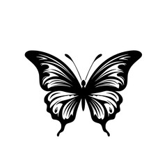 Butterfly svg, butterfly png, butterfly clipart, clipart, svg, vector, eps, png, jpg, butterfly, insect, nature, wing, fly, wings, animal, beauty, illustration, summer, design, macro, spring, moth
