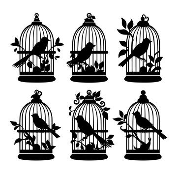 Bird Cage, cage svg, cage png, T shirt, clipart, png, svg, eps, jpg, vector, flower, floral, pattern, nature, illustration, leaf, vintage, art, plant, drawing, flowers, design, seamless, black, decora