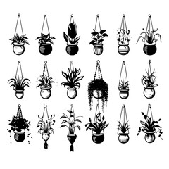 succulent svg, cactus svg, succulent png, cactus png, plant svg, cactus clipart, House Plant SVg, Hanging Plant, Succulent pot svg, Cactus SVG file, Succulent svg file, Plants svg file, Cactus cut fil