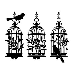 Bird Cage, cage svg, cage png, T shirt, clipart, png, svg, eps, jpg, vector, flower, floral, pattern, nature, illustration, leaf, vintage, art, plant, drawing, flowers, design, seamless, black, decora