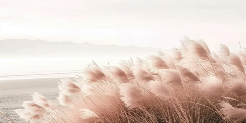 Dry pink grass at sand beach, natural color