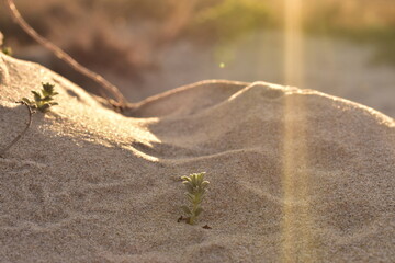 Just sand