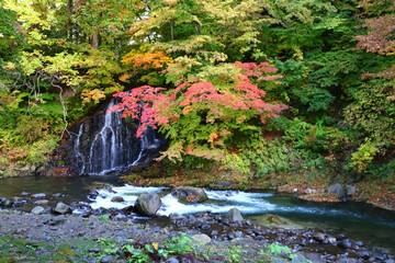 紅葉が美しい, 青森県中野もみじ山。