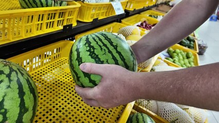 Person selecting a ripe watermelon in a grocery store produce section, concept of fresh summer fruits shopping