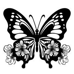 Butterfly svg, butterfly png, butterfly clipart, clipart, svg, vector, eps, png, jpg, butterfly, insect, nature, wing, fly, wings, animal, beauty, illustration, summer, design, macro, spring, moth, an