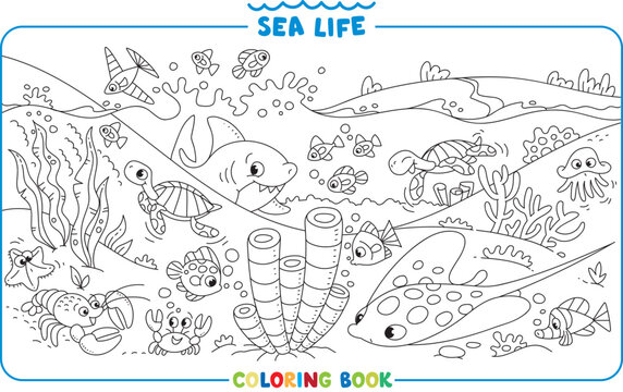Sea theme. Big coloring book set. Kids vector