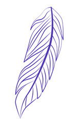 Flat feather icon