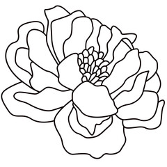 Flat flower icon