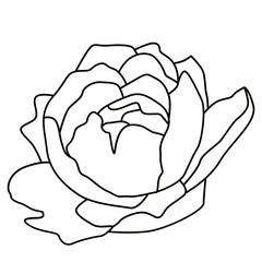 Flat flower icon