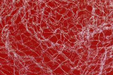 Fine threads of fabric in macro closeup on a red background