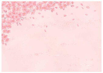 Fototapeta na wymiar 桜の花と舞う花びら　ピンクバック