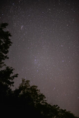 Identifying bright stars in the summer night sky. Astronomical observations from dark places